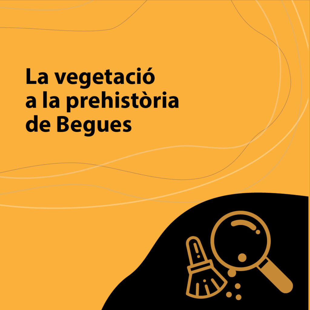 PÚBLIC ESCOLAR
- Primària (Cicle Superior)
- Secundària
Durada: 1h.