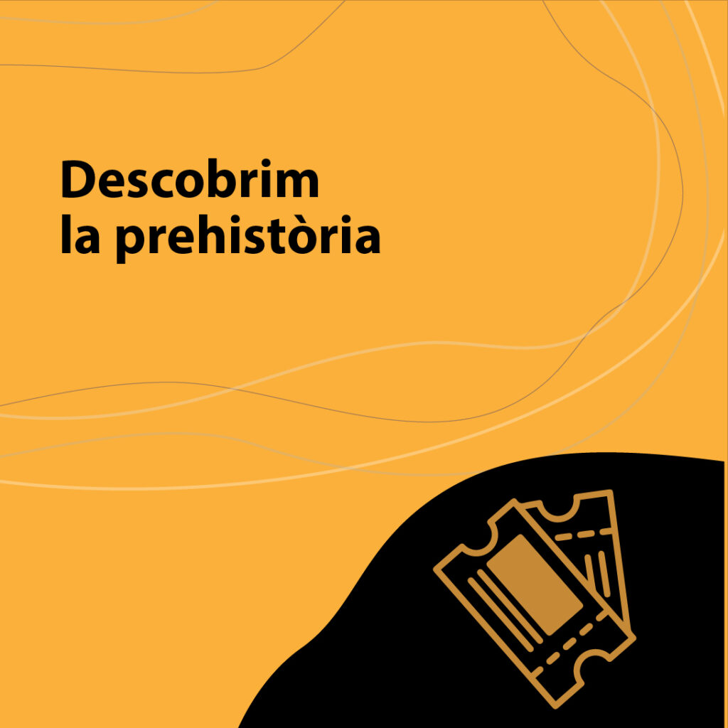 PÚBLIC ESCOLAR
- Infants de 3 a 7 anys
Durada: 45min.